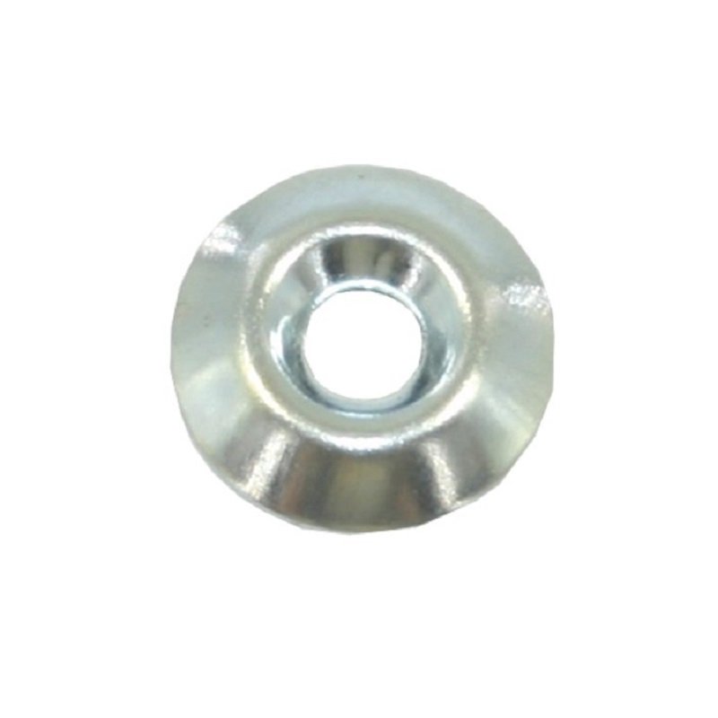 sajba-koniceskaa-cink