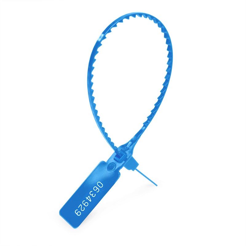 plomba-kontrolnaa-up-255-sinaa