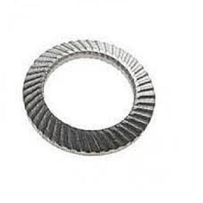 sajba-d12-form-s-schnorr