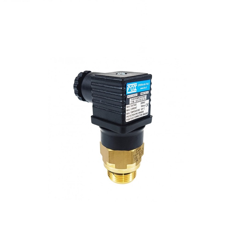 Термостат биметаллический TM46C1, BSP 1/2"